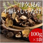 椎茸 山盛り不揃い椎茸 500g