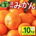 温州みかん10kg 果物 温州みかん みかん