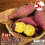 産さつまいも 紅はるか 約5kg