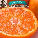 プレミアム 完熟有田みかん5kg+250g