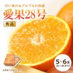 愛果 約1.5kg