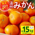 ふるさと納税 宮崎市 [訳あり]温州みかん約15kg 傷み補償200g付き(宮崎市)