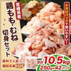翌月末迄に 出荷 鶏肉 お肉 モモ肉 ムネ肉 小分けパック