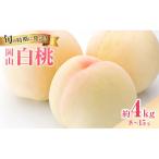 白桃 約4kg