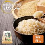 令和8年産 ハツシモ 5kg