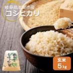 令和6年産 ハツシモ 5kg