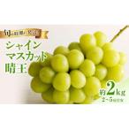 産シャインマスカット 晴王 約2kg
