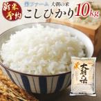 栄ファーム 大朝の米 にじのきらめき 精米10kg