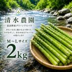 ふらの産 採れたて グリーンアスパラ M~Lサイズ混合 約2kg