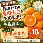 採れたての美味しさをそのまま ご 温州みかん 約10kg