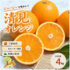 清見オレンジ みずみずしい果汁 約4kg