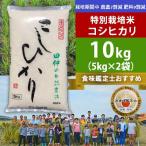 特別栽培米 田仲のこしひかり 精米 10kg