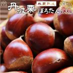 岩崎農園のぽろたん 500g