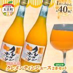 山本農園のクレメンティンジュース 2本セット