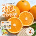 清見オレンジ みずみずしい果汁 約4kg
