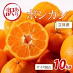 訳あり 立目産 ポンカン 10kg