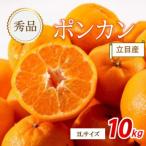 秀品 立目産 ポンカン 10kg