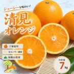 清見オレンジ みずみずしい果汁 約7kg