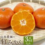 山本農園の紅みかん 約3kg