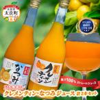 山本農園のクレメンティン なつみジュース 各1本
