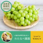 ぶどう シャインマスカット 2房 3房 約 1kg