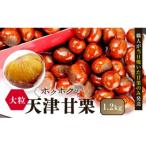 無添加大粒天津甘栗 1.2kg