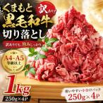 訳あり くまもと黒毛和牛切り落とし 1kg