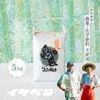 玄米 5kg