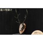 鹿の壁掛け 台座カラー:ナチュラル