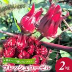 熊本ハーブ園レモングラス フレッシュローゼル 2kg