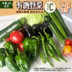 有機野菜セットC 季節の野菜 詰め合わせ