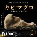 長期かび熟成 かびまぐろ中トロ約1000g