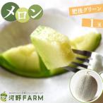 産メロン 肥後グリーン 1玉