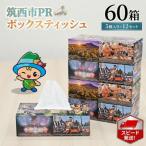 ボックスティッシュ60箱 5個×12セット