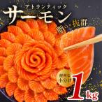 アトランティック サーモン 約1kg