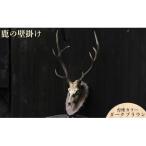 鹿の壁掛け 台座カラー:ダークブラウン