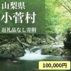 小菅村への寄付（返礼品なし）