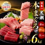 本マグロ3種セット 大トロ 中トロ 赤身 6kg