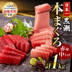 本マグロ3種セット 大トロ 中トロ 赤身 約1kg