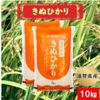 令和7年産 甲良米 キヌヒカリ 白米 10kg