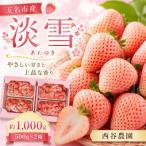 淡雪 約1kg