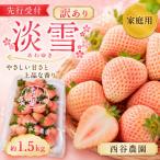 訳あり 淡雪 約1.5kg
