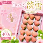 白いちご 淡雪 大玉 400g