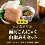 加工品等 面河の美味いもん詰め合わせ こんにゃく