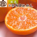 厳選 せとか10kg+250g 傷み補償分