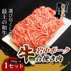 仙台牛岩中ポーク合い挽き肉 100g×4パック