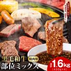黒毛和牛 切り落とし 1.6kg