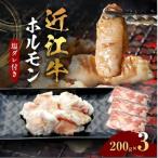 ホルモン 塩だれ付き 200g×3