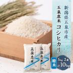 米 令和7年産 こがねもち 10kg