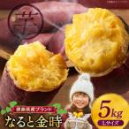 大 さつまいも なると金時 5kg